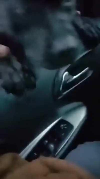 the dog is wet... of course! let's let him up, nonono let's not block him the entrance, just let me record