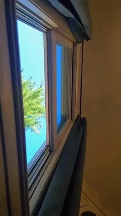 Barely missed the hoop.