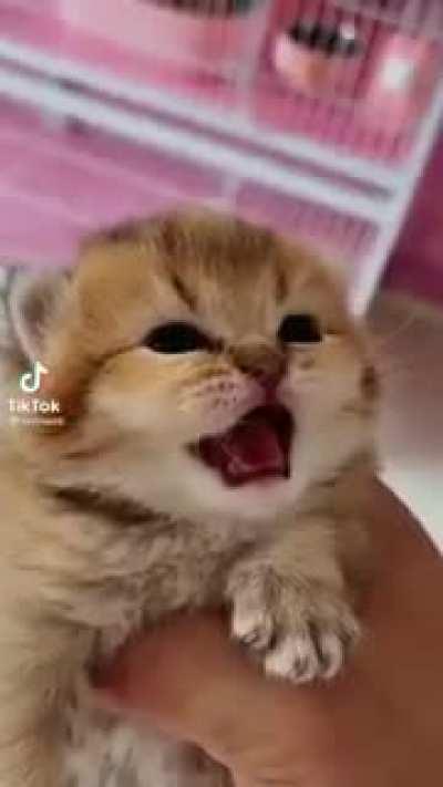 Turn the volume down