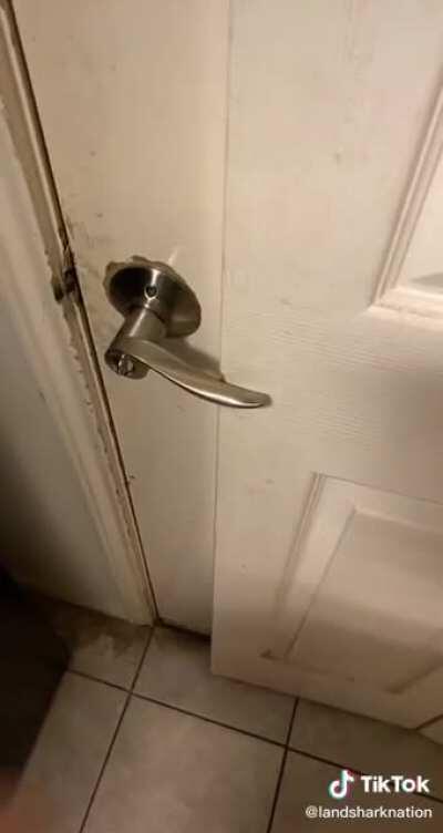 oh no, how could they ever possibly escape?