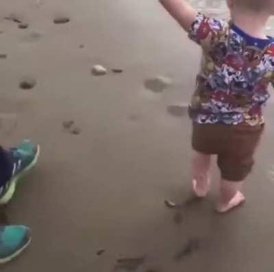 Cupcake knows how to A train