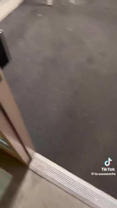 Just why like why they so bad