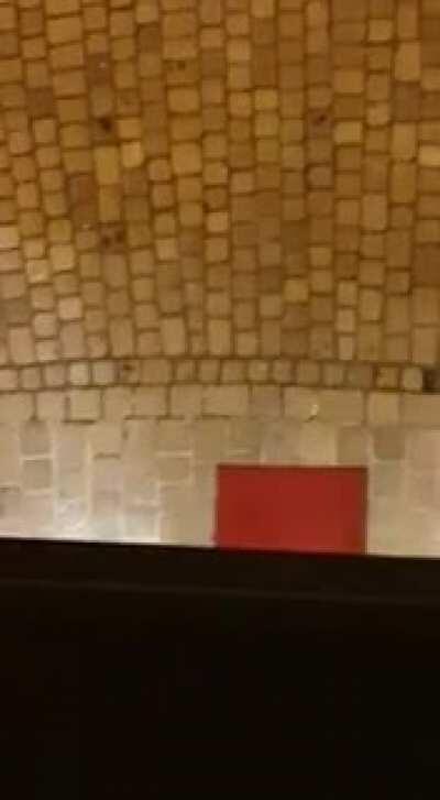 Gunman opens fire in central district of Vienna [Austria] - 2nd Nov 20