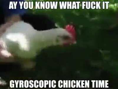 Chicken stabilised (must see)