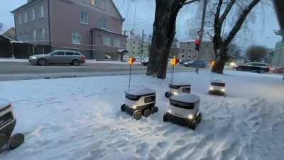 First robot traffic jam recorded in Estonia