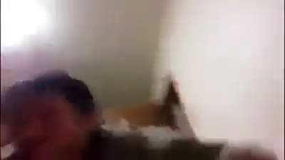 El perro ctmre de mi vecino cuando escucha el más mínimo ruido