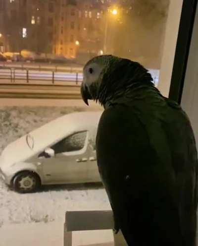 Guck mal, das Auto! Wusch!