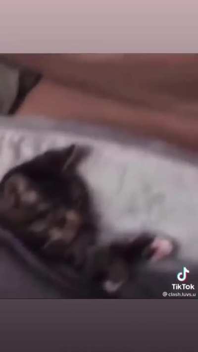 Hi! How are you doing today bro?