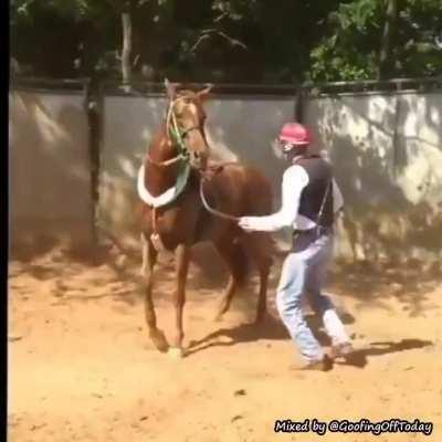 To mistreat a horse