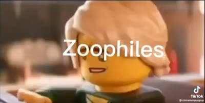 Awkward silence when they enter the room