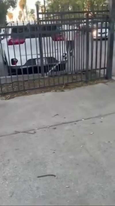 2 Gangsters terrorizing another gangster in Pacoima