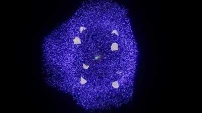 Guardian Down (Blender)