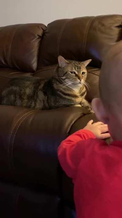 Human, why must you forsake me so?