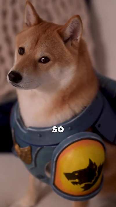 My Dog is a Space Marine