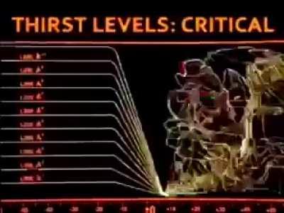 Thirst levels are critical