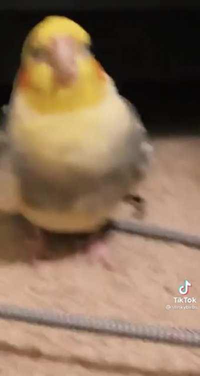 These menaces need to be locked up