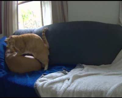 Спишь? Ну ладно, спи.