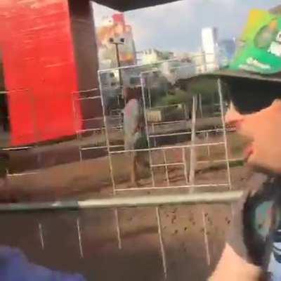 Olha quem apareceu na campanha do MamãeFalei kkkk