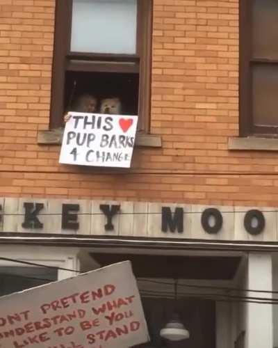 Good boy supporting a good cause