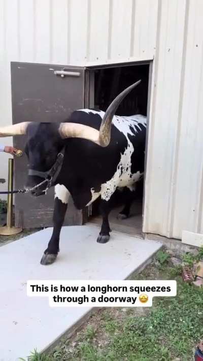 His spatial awareness is better than mine