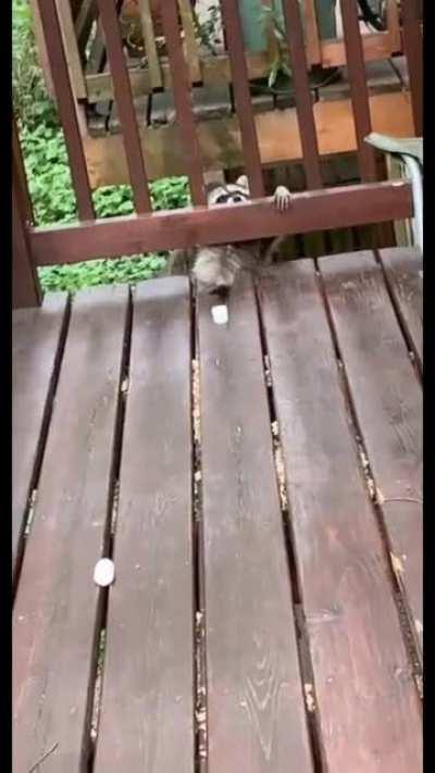 Just scoooch it over...