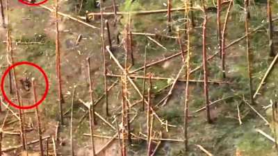 Combined FPV and Drone footage Compilation of all the Russia 1 Action shots from the past 48 hours or so as the LPR 1st Division, and Rosgvardia of O-group continue blowing the UA army out the back of the Kremennaya with combined ops of all available weap