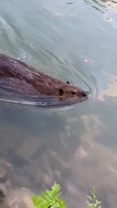 I saw my friend again today 😍