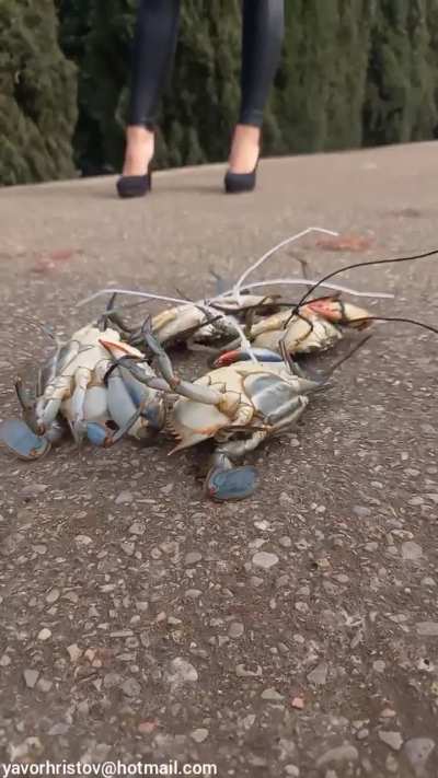 Girl crush in high heels