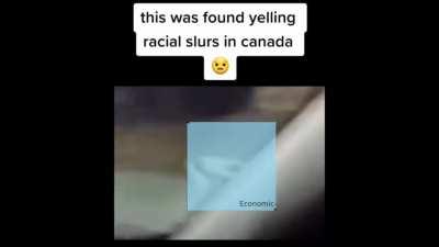 Ok, who put authright's sentience in a Boston Dynamics dog?