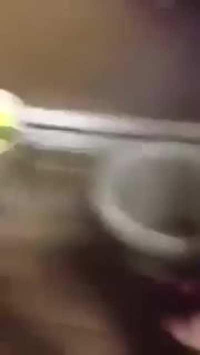 Guy throws firecracker in toilet