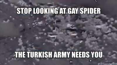 türk askeri gücü......