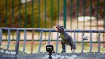 A visual representation of Newton's first law. Anybody is at rest if no force is applied to it.