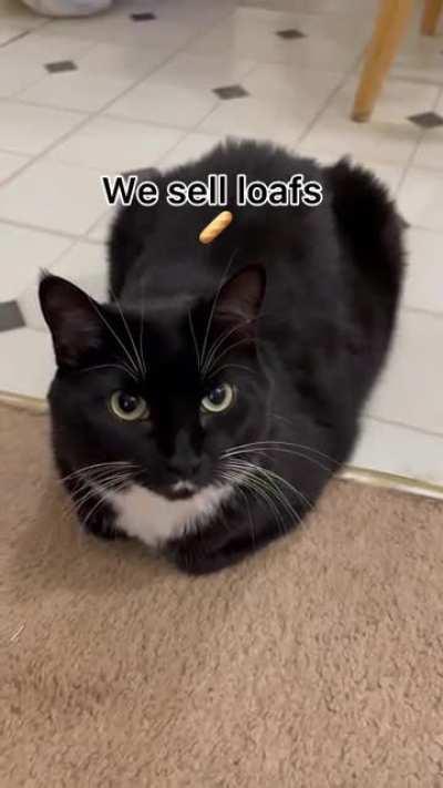 Welcome to the bread bank