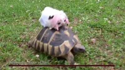 Bossfight time against the Mods