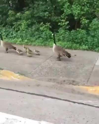 No One Saw it Son, keep moving.