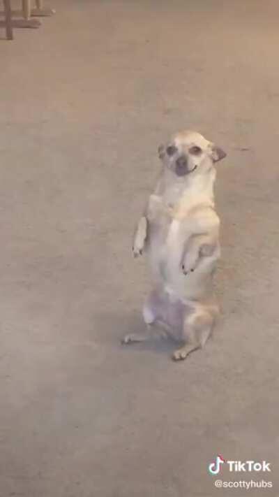 Everytime he checks the mail she waits