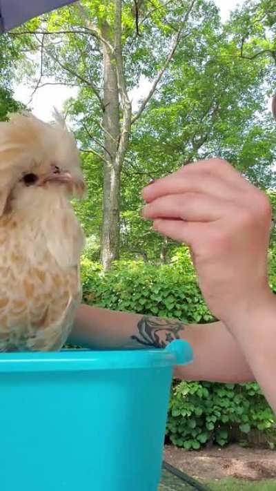 Phyllis loving strawberries as we soak her little feet in epsom salt bath. Strawberries=good distraction!