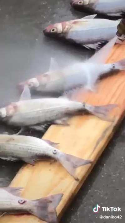 This guy's living in the year 3000