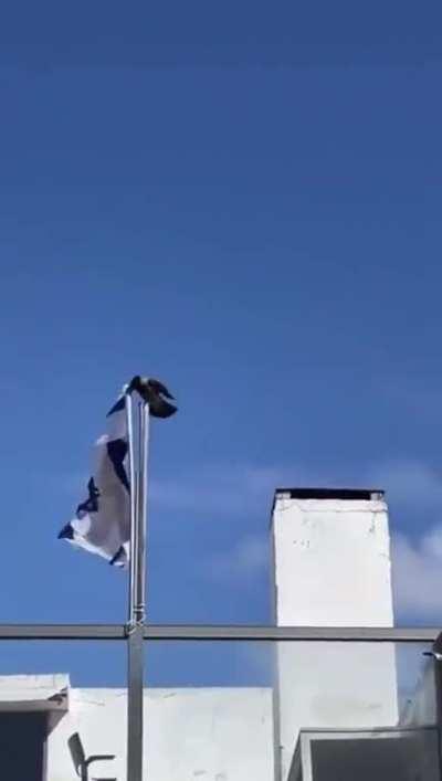 Crow removes Israeli flag from being displayed.