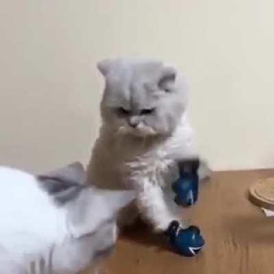 They learn so fast..