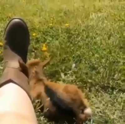 this is the life i deserve