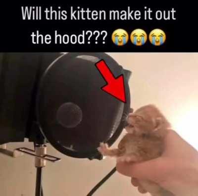 unrelated post to see if mods will do anything about it