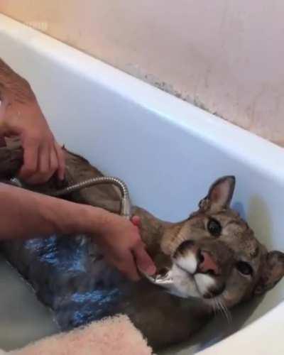 Bath Time