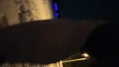 Cold but horny enough to stay warm :3