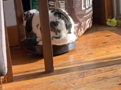 I ain’t afraid of no vac