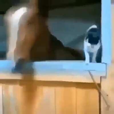 Con tu física y tú química también tu anatomía la cerveza y el tequila y tú boca con la mía ya no puedo más (ya no puedo más)