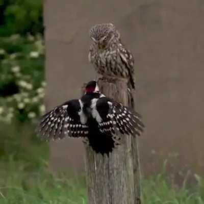 Место занято!