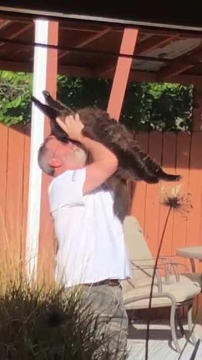 Just a dad and his cat