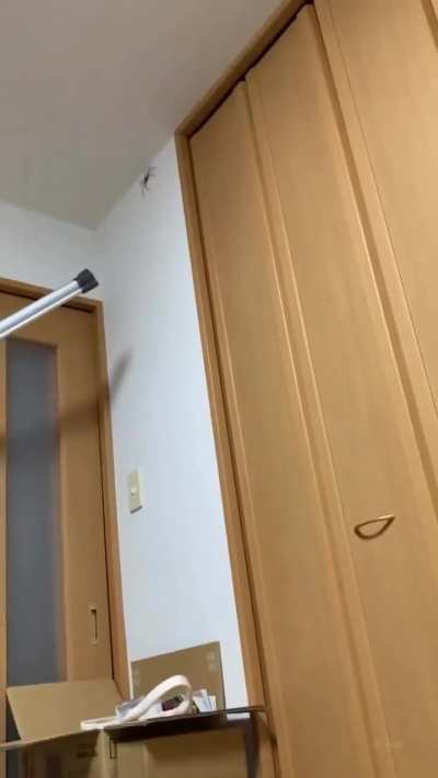 I had the same reaction