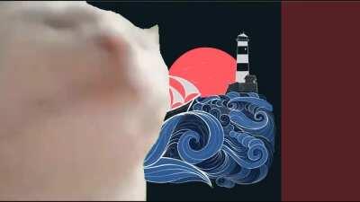 Wellerman is and always will be the vibe